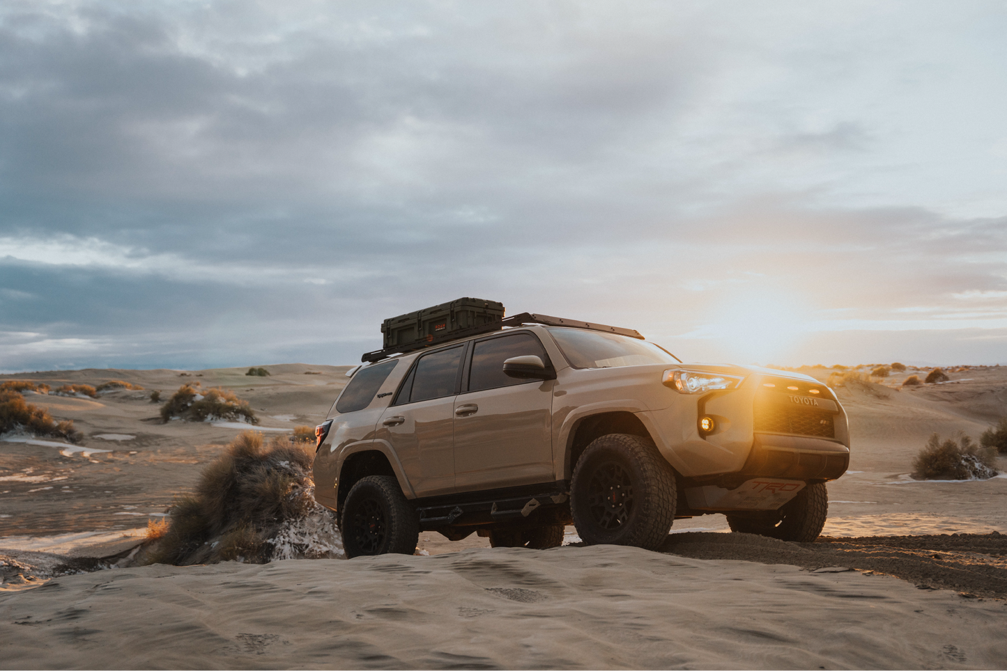 Roam 95L Rugged Mounts